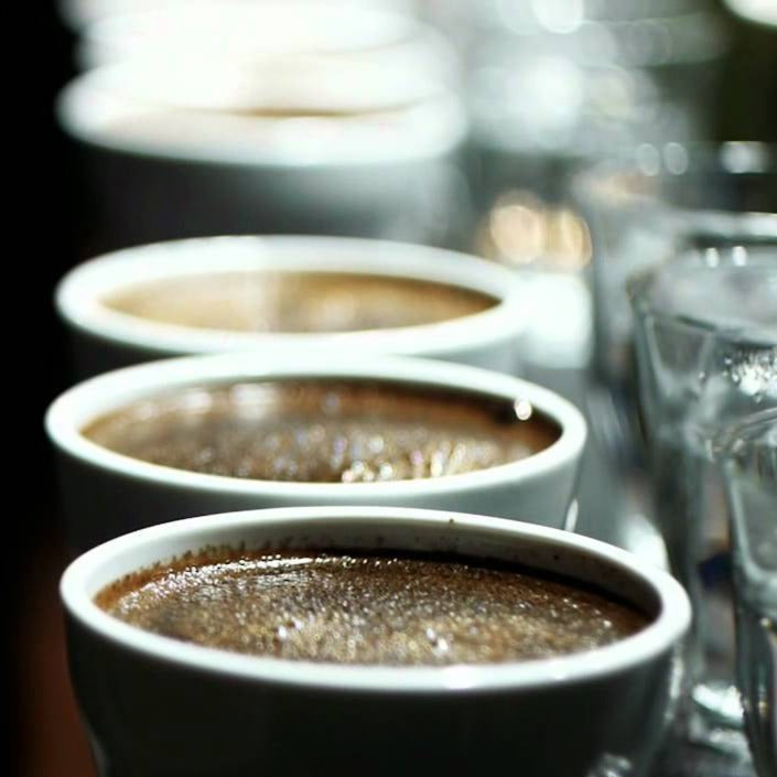 Coffee discovery & cupping class
