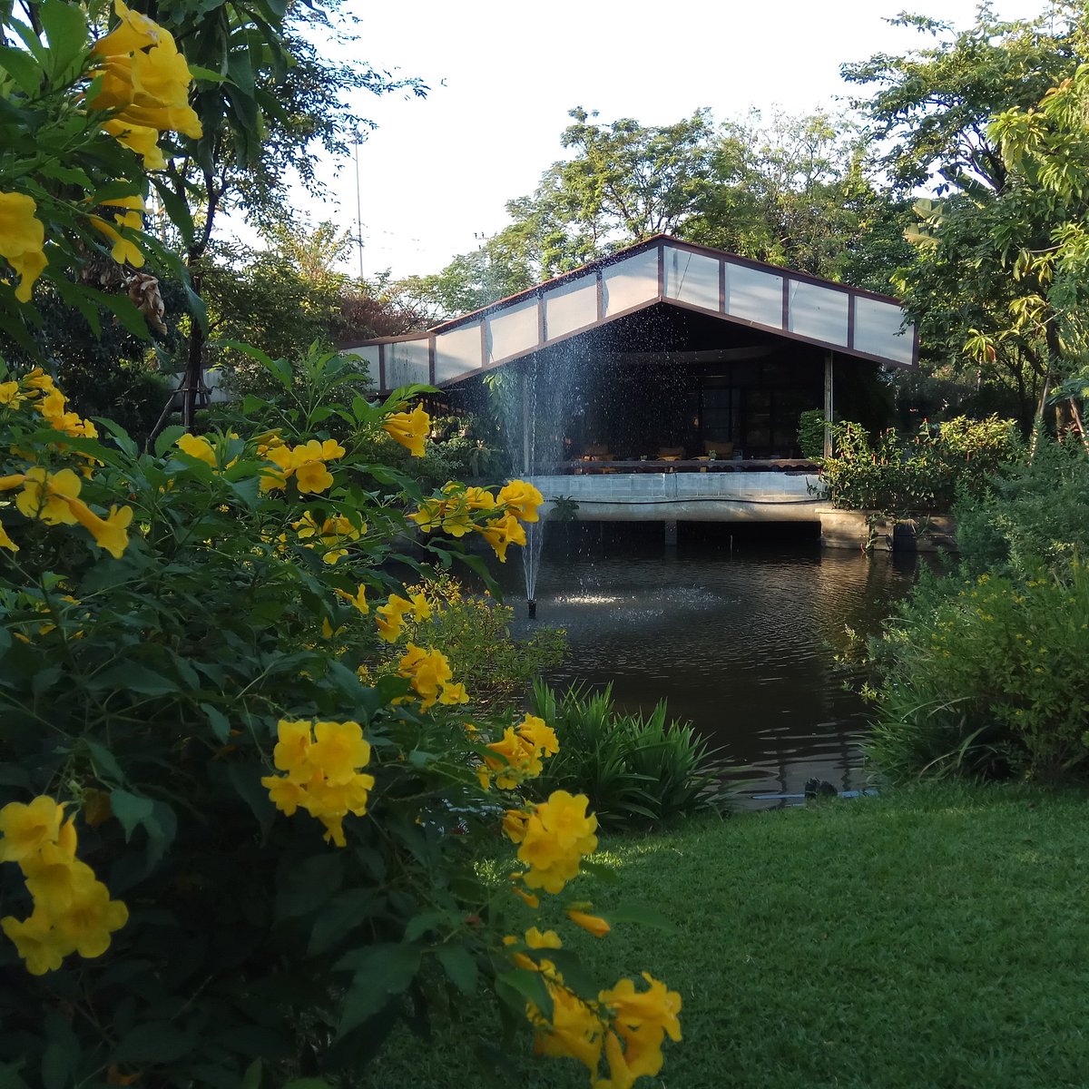 Exterior view of Plantation Cafe with garden and pond